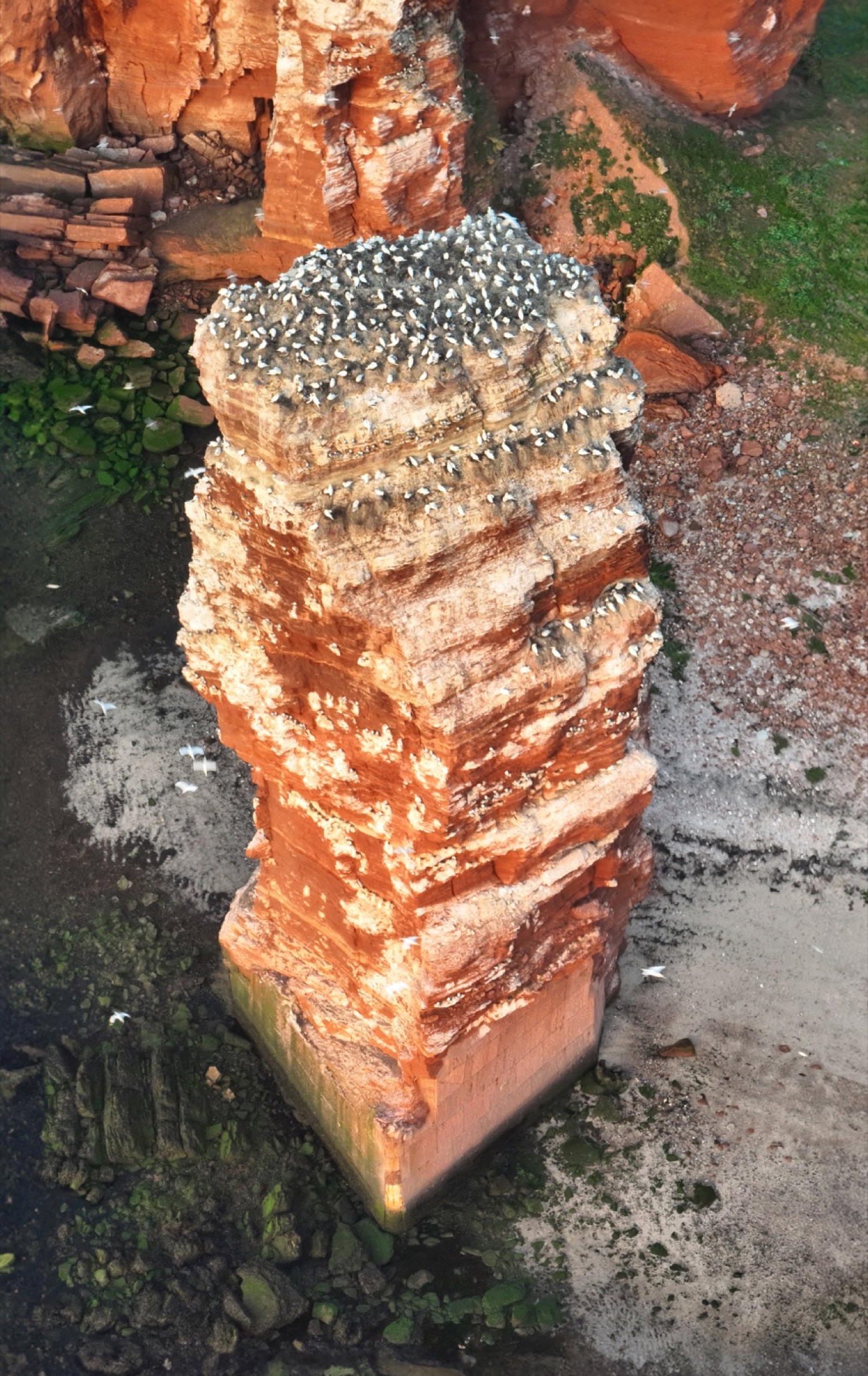 Lange Anna, Helgoland